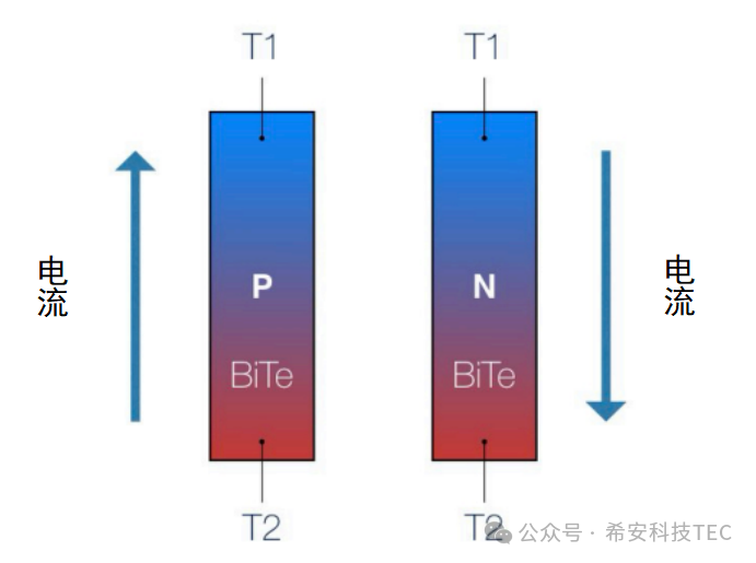 TEC எப்படி வேலை செய்கிறது?